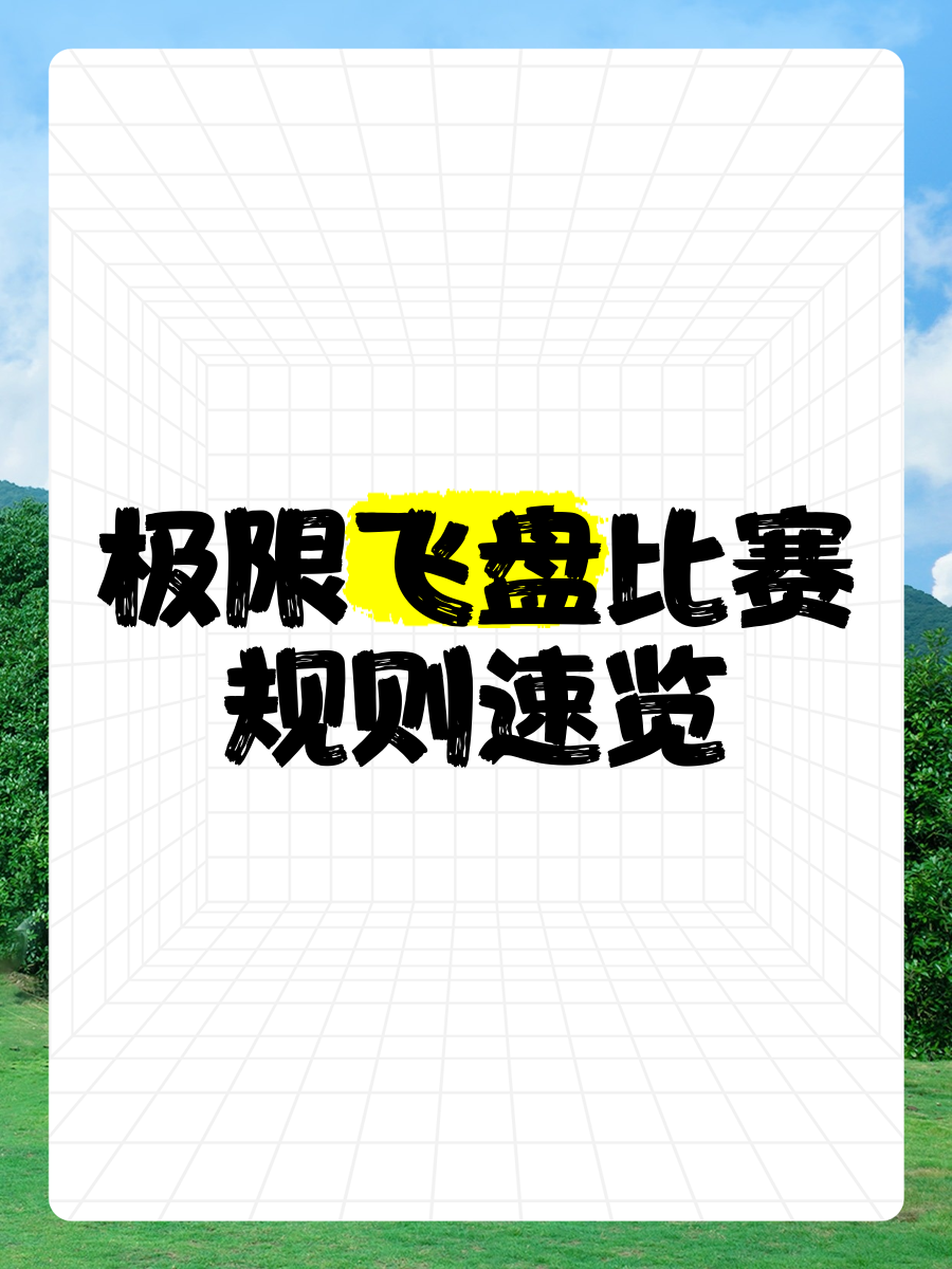 开云网站-特色极限飞盘赛，舞动天空的速度与技巧的简单介绍