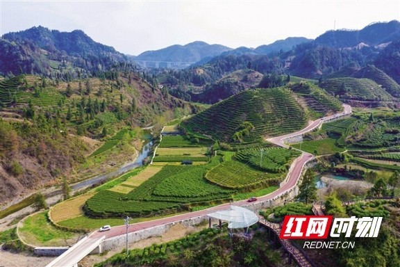 KAIYUN 中国大陆-关于特色足球文化旅游融合路径逐步探索，带动地区经济增长的信息