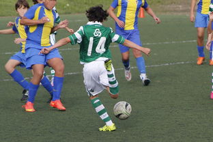 开云网页版登录入口-中国足球高密度传控战术回合成功统计，中国足球高密度传控战术回合成功统计