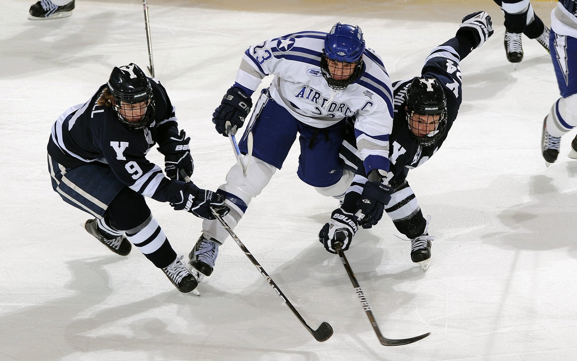 凯琳·科贝特技术细腻后程加速显神威,凯特琳max